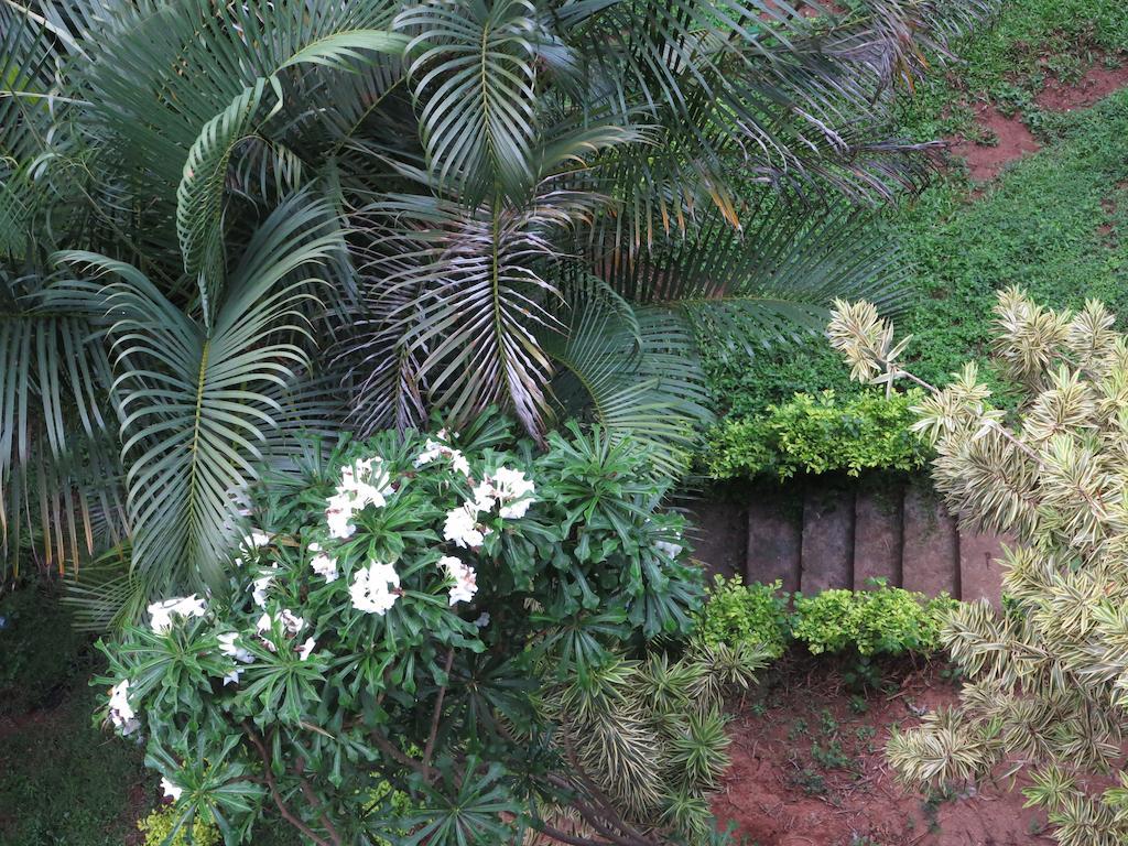 Kandy View Garden Hotel Exterior foto